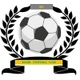 化学FC