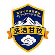 广元队