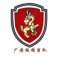 遂宁队
