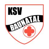 VfB马尔堡