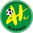 山东全运女足